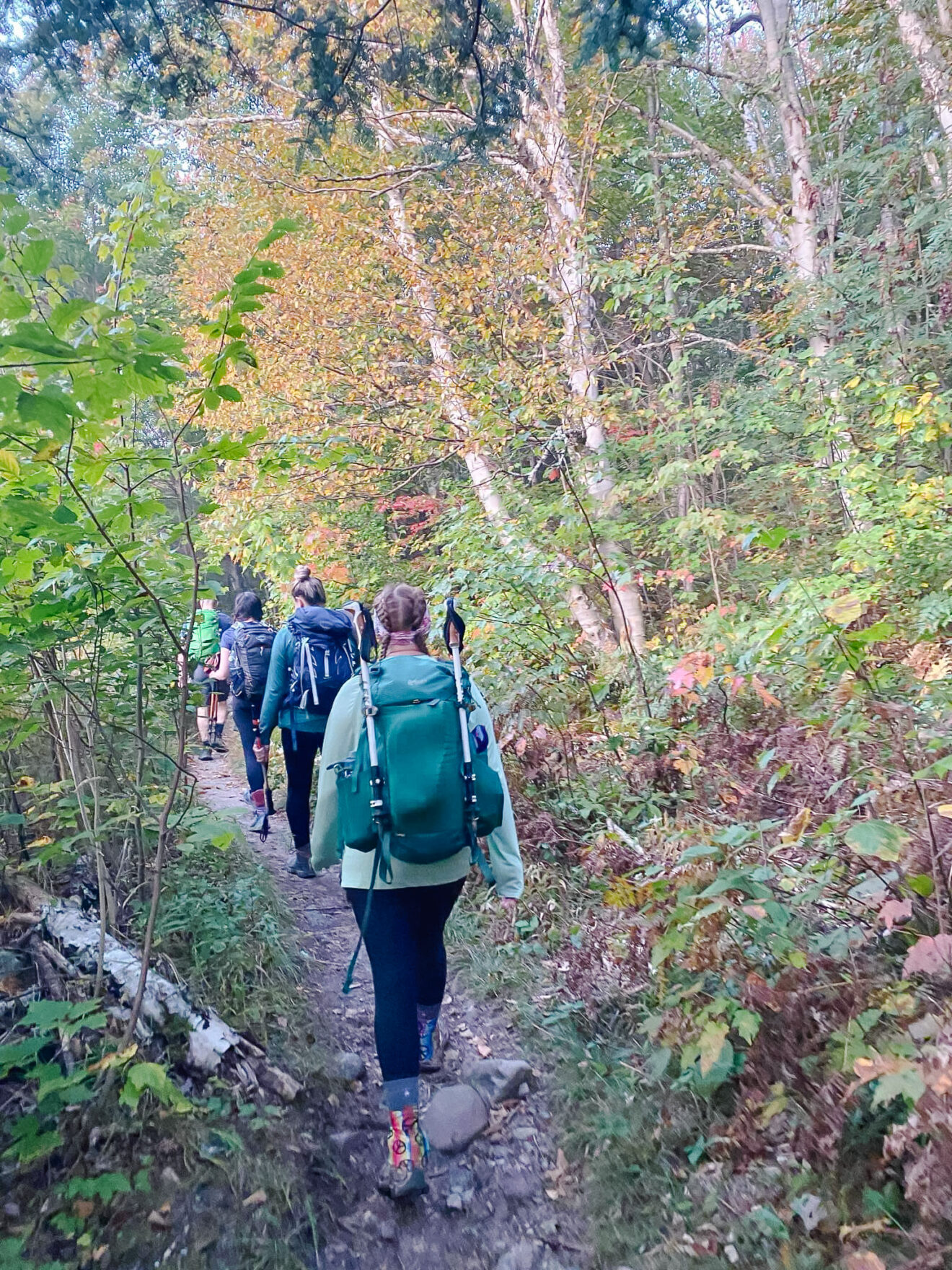 Ultimate Guide to Essential Hiking Gear for beginners - Navigation None